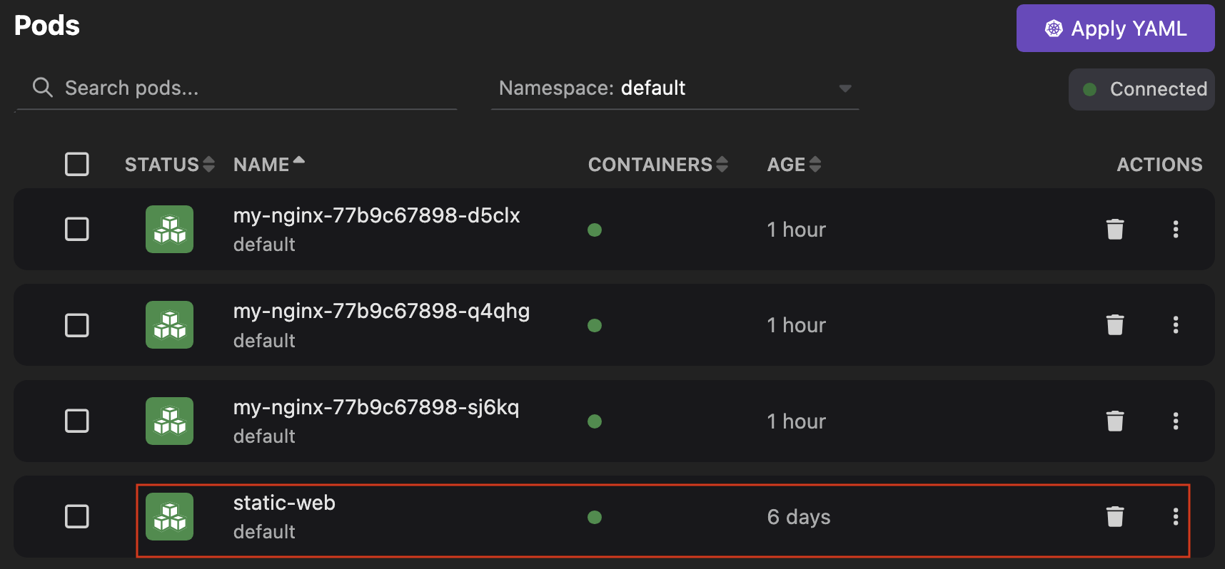 view the newly created pod